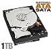 Western Digital Caviar Black 1 TB Bulk/OEM Hard Drive 3.5 Inch, 32 MB Cache, 7200 RPM SATA II WD1001FALS