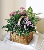 The FTD® Pink Assortment