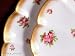 George Jones 16920 Pink Rose Cup and Saucer
