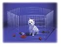 HEXAGON PLAY PEN (SIX 25" X 25") For Dogs, Cats, Small Pets