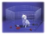 Outdoor Living : Hexagonal Puppy Play Pen