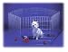 Outdoor Living : Hexagonal Puppy Play Pen