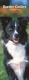 Border Collies 2009 Slimline Calendar