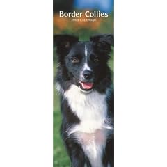 Border Collies 2009 Slimline Calendar