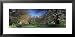 Bare Trees Along a Walkway, Canary Wharf, Tower Hamlets, London, England, United Kingdom Places Framed Art Poster Print by Panoramic Images, 31x15