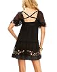 Embroidered Sheer Silk Dress Product Image