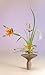Kenzan, Mini Square Flower Frog #146908