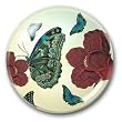 Butterflies - Crystal Dome Paperweight