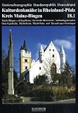 Kulturdenkm&auml;ler in Rheinland-Pfalz, Bd.18.1 : Kreis Mainz-Bingen - 