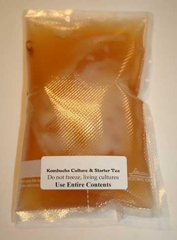 Kombucha Mushroom Deluxe, Single By Back Yard Preserves