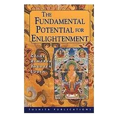 Fundamental Potential for Enlightenment
