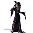 Sorceress Young Adult Costume - Adult Costumes