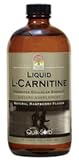 Platinum Liquid Nutraceuticals, L-Carnitine (16 oz)