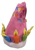 HAPPY BIRTHDAY HAT