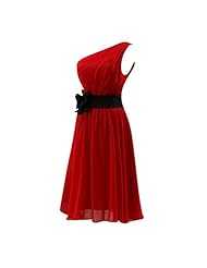 Pleated Lace Short One Shoulder Chiffon Evening Dress/Bridesmaid Dress/Prom Dress/Wedding Party Dress  With a Ribbon 