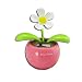 HK Pink Magic Cute Flip Flap Swing Dancing Solar Powered Flower Toys SF-P1