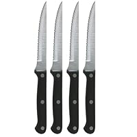Ginsu Essential Series 4-Piece 4.5-Inch Stainless Steel Steak Knife Set with Triple Riveted Polymer Handles 4805