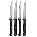 Ginsu Essential Series 4-Piece 4.5-Inch Stainless Steel Steak Knife Set with Triple Riveted Polymer Handles 4805