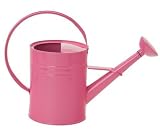 Houston International 8582E HPK 1-Gallon Steel Watering Can, Hot Pink