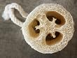 Luffa Gurka Luffa Schw�mme selbst herstellen 10 Samen