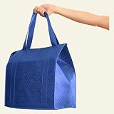 Pack N Tote Insulated Grocery Bag, Blue 418 zTYyunL. SL160 Pack N Tote Insulated Grocery Bag, Blue