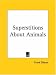 Superstitions About Animals