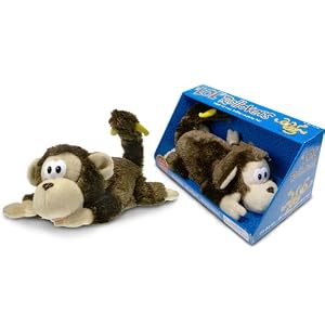 LOL (Laugh Out Loud) Rollovers- Chimp by 