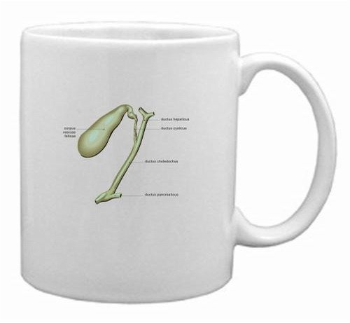 Gall Bladder Mug