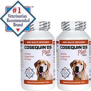 Cosequin DS Plus MSM Joint Health Supplement for Dogs 360 Count Chewable Tablets Twin Pack (2 x 180 tablets)