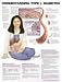 Book Understanding Type 1 Diabetes Anatomical Chart