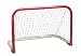 Streethockey-Tor