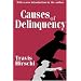 Causes of Delinquency