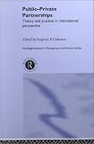 Public-Private Partnerships (Routledge Advances in Management and Business Studies)