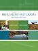Treatment Wetlands, Second Edition