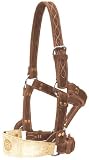 Blackwood Bronc Halter - Burgundy Latigo - Horse
