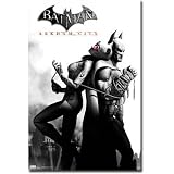 (22x34) Batman Arkham City Catwoman Video Game Poster Print