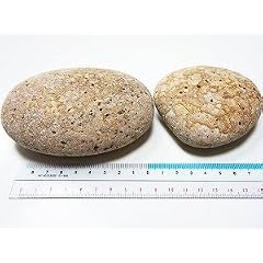 姫川薬石 原石 大サイズ