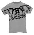 Aerosmith Wings Logo - Juniors/Girly T-Shirt, Small