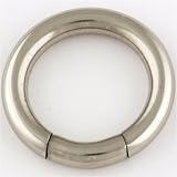 Stainless Steel Segment Ring: 8g 1/2