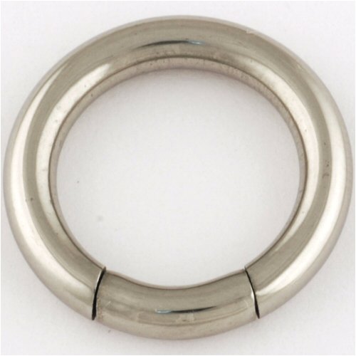 Stainless Steel Segment Ring: 8g 1/2