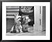 Australian Silky Terriers are Rare in the United States Animals Framed Art Poster Print, 31x25