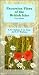 Book Excursion Flora of the British Isles Plastic cover