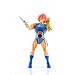 4181HEay49L. AA75  ThunderCats Lion O 8 Collector Figure Classic