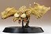 Monster Hunter Capcom Figure Builder Vol. 2 Trading Figure: Diablos (Length 12 cm)_s-1