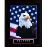 IMAGE OF 4 Framed Patriotic Eagle Mountains Motivational Posters