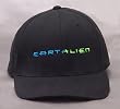 EARTHLIEN - Logo - Black FlexFit Baseball Cap