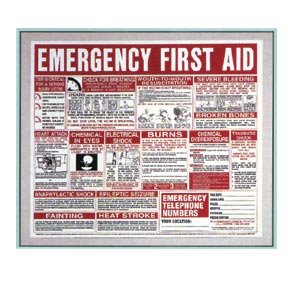First Aid Wall Chart 22x26
