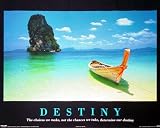 Destiny Motivational Inspirational Art Poster Print - 16 X 20