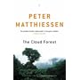 The Cloud Forest