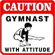 CAUTION: GYMNAST WITH ATTITUDE novelty sign